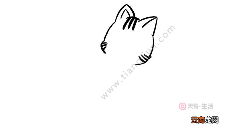小猫吃西瓜简笔画画法简单
