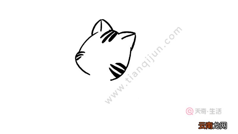 小猫乘凉简笔画画法简单