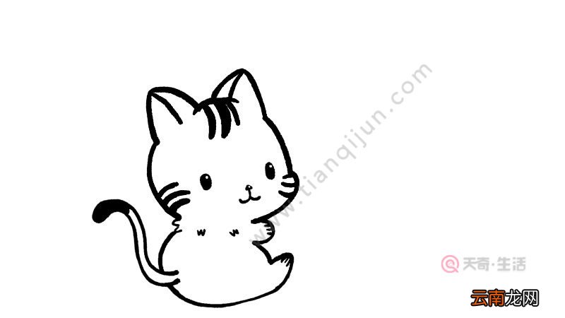 小猫简笔画可爱画法