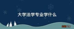 大学法学专业学什么