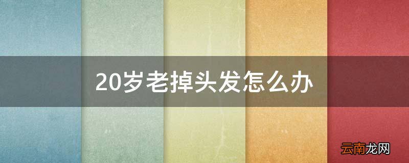 20岁老掉头发怎么办