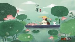 节气夏至开的花都有什么 夏至开的花都有哪些