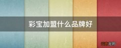 彩宝加盟什么品牌好