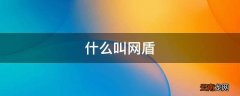 什么叫网盾