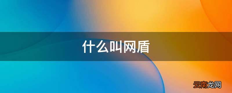 什么叫网盾