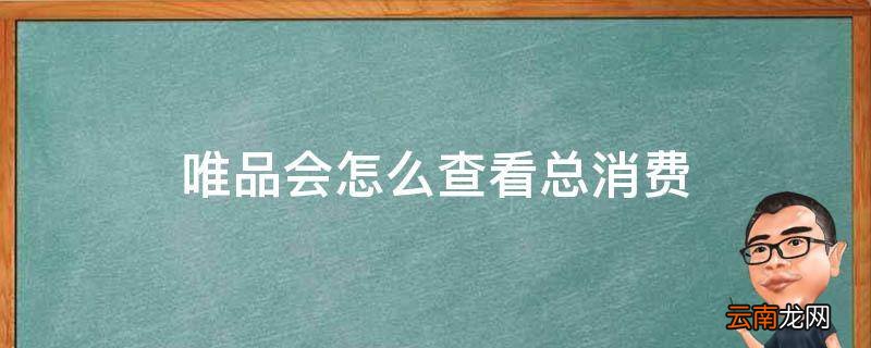 唯品会怎么查看总消费