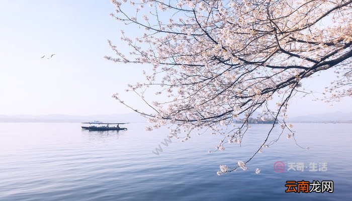 水光潋滟晴方好描写的是哪里的景色 水光潋滟晴方好描写了什么景色