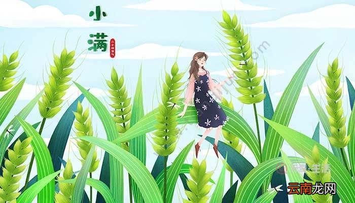 芒种前后节气 芒种前后节气是什么