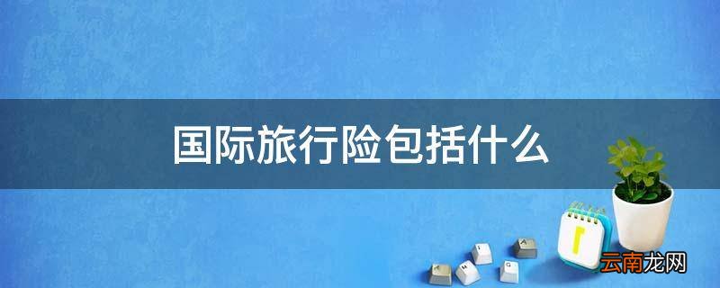 国际旅行险包括什么