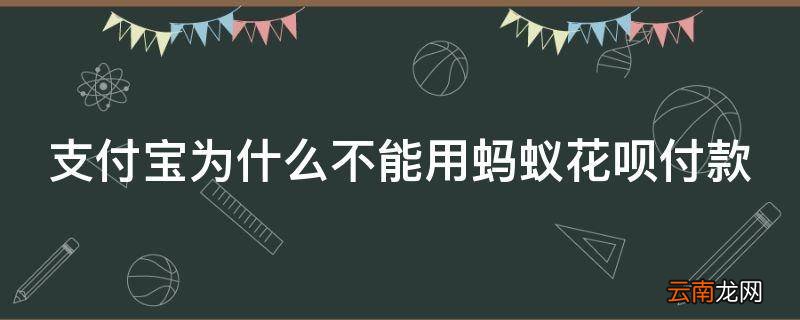 支付宝为什么不能用蚂蚁花呗付款