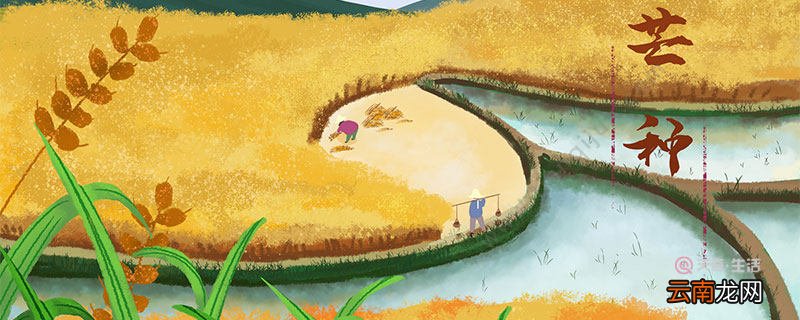 芒种和谷雨的区别 芒种和谷雨的区别在哪