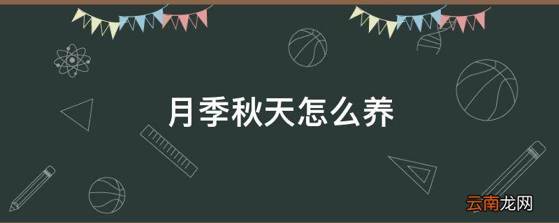 月季秋天怎么养