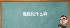 鼹鼠吃什么啊