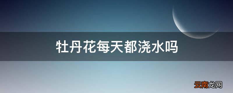 牡丹花每天都浇水吗