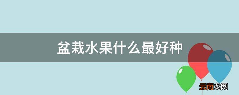 盆栽水果什么最好种