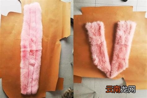 狐狸毛领怎么清洗