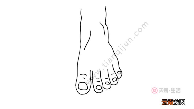 脚趾简笔画