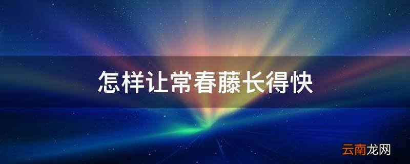 怎样让常春藤长得快