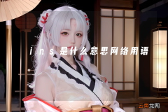 ins是什么意思网络用语