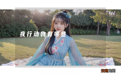 夜行动物有哪些