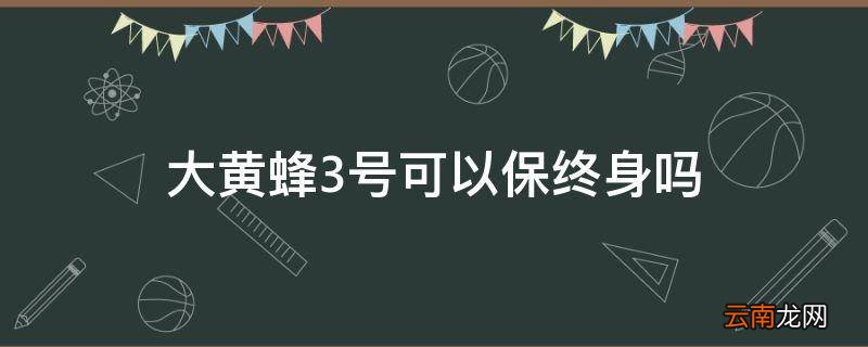 大黄蜂3号可以保终身吗