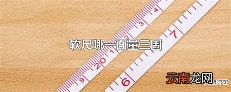 软尺哪一面量三围