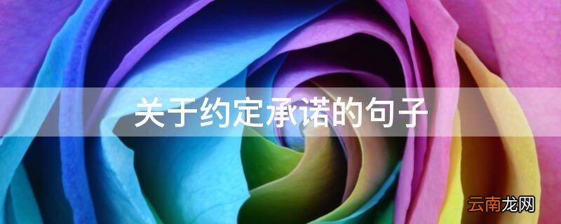 关于约定承诺的句子