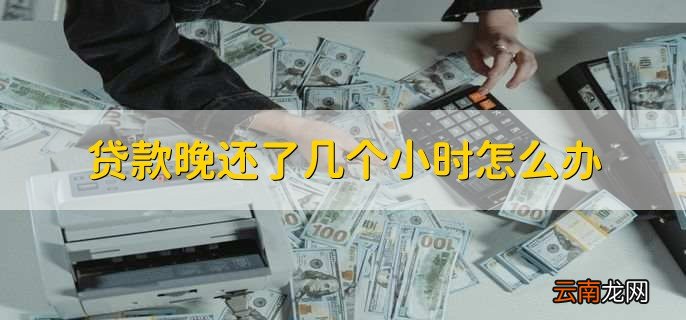 贷款晚还了几个小时怎么办，尽快还款