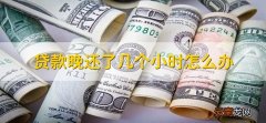 贷款晚还了几个小时怎么办，尽快还款