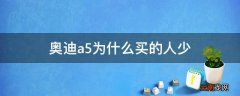 奥迪a5为什么买的人少