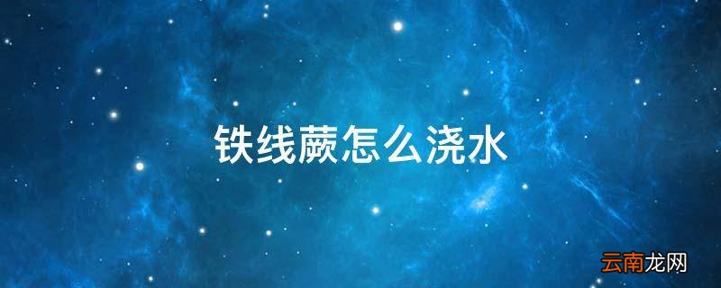 铁线蕨怎么浇水