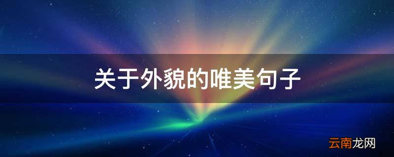 关于外貌的唯美句子
