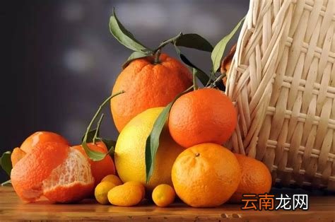 越酸的水果维c含量越高么