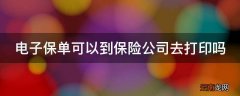 电子保单可以到保险公司去打印吗