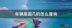 车辆是国几的怎么查询
