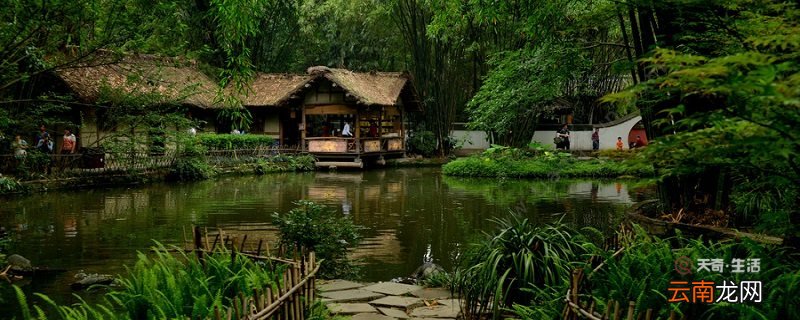 临安春雨初霁表现手法 临安春雨初霁的表现手法