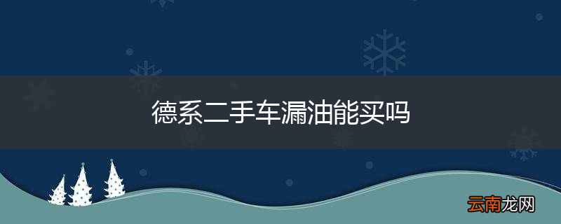 德系二手车漏油能买吗