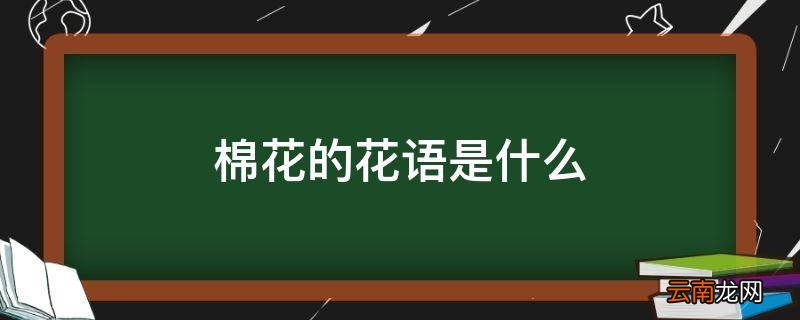 棉花的花语是什么