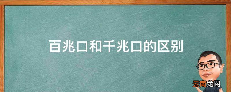 百兆口和千兆口的区别