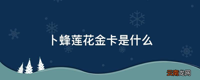卜蜂莲花金卡是什么