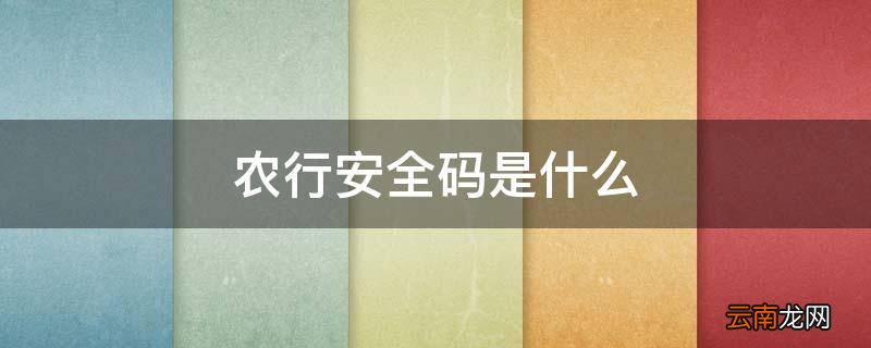 农行安全码是什么