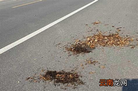 中药渣为什么倒在十字路口