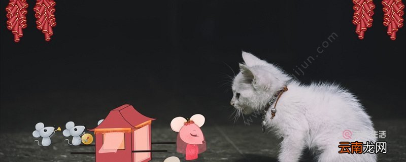一年级下册的老鼠嫁女的故事 一年级下册的老鼠嫁女的故事是什么