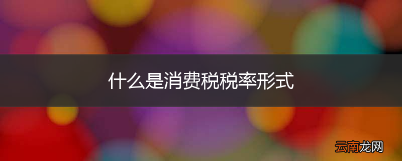 什么是消费税税率形式