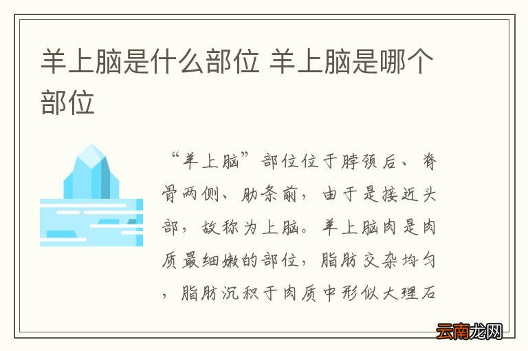 羊上脑是什么部位 羊上脑是哪个部位