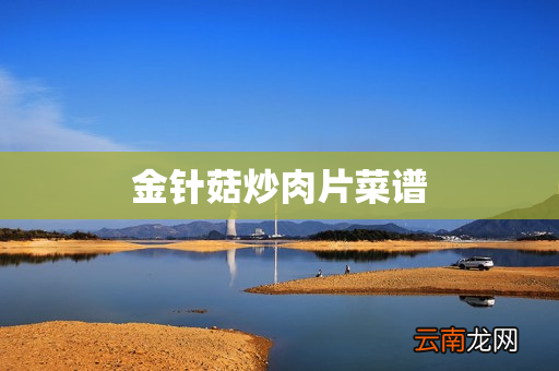 金针菇炒肉片菜谱