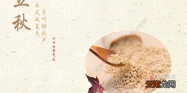 立秋是什么意思 立秋的意思