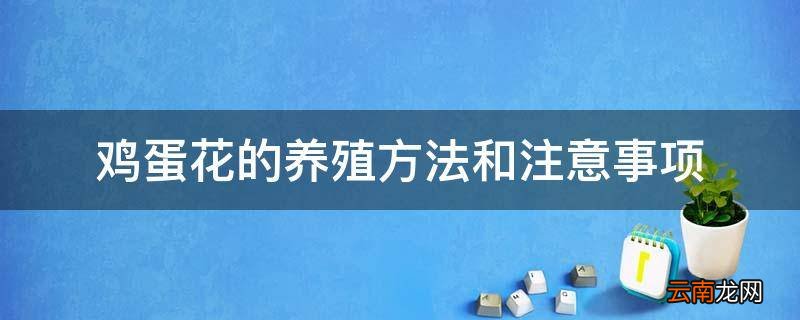 鸡蛋花的养殖方法和注意事项