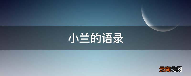 小兰的语录