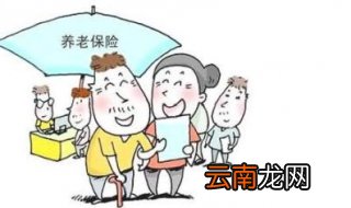 什么是基本养老保险缴费年限 下面让笨笨狼来告诉大家